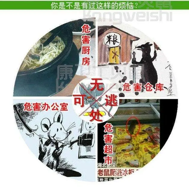 宿州灵璧保洁公司，油烟机清洗，地毯清洗，品牌连锁价格多少 - 图片 8