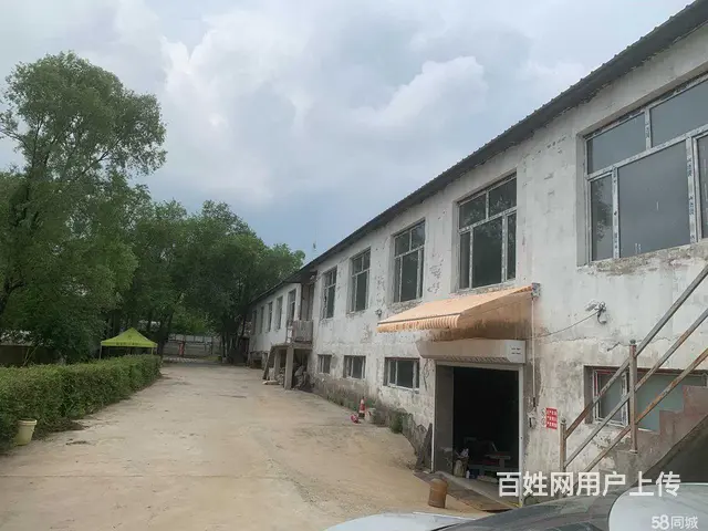 松北新区厂房冷库出租 - 图片 3