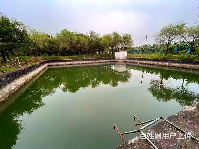 从化区鳌头镇有180亩平地绿化场苗圃场整体转让 - 图片 5