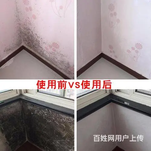 番禺石基除霉公司，广州专业墙体去霉，处理天花发霉 - 图片 8