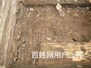 资阳灭白蚁公司、乐至灭白蚁公司、安岳灭白蚁公司 - 图片 2