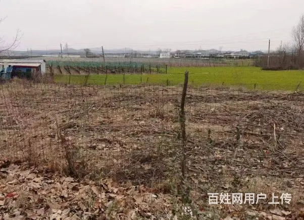 鲁山沙河桥南楼张转让地皮 - 图片 3