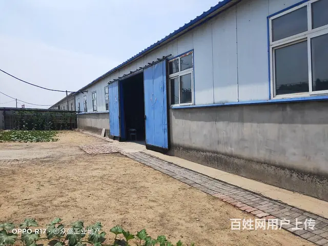 于洪700平厂房出租 - 图片 1