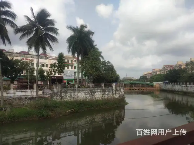（51旺铺推荐）文昌市文城镇300平空铺直租 - 图片 7