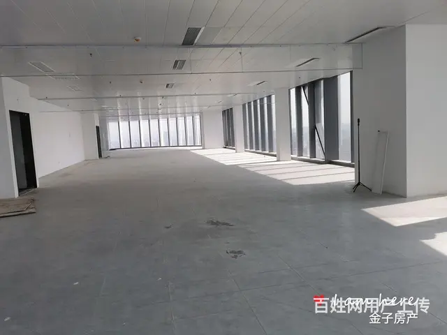 CBD272米高度智慧之门300方800方 年底特价700万 - 图片 10