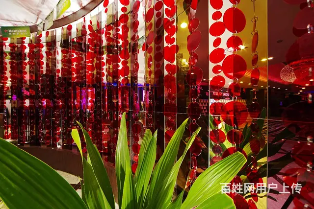 重庆埃及艳色[夜总会包厢预订 - 图片 2