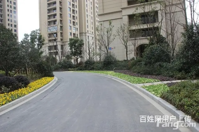 博小+北郊！金新鼎邦3室2厅豪装双卧朝南北通透满5 - 图片 10
