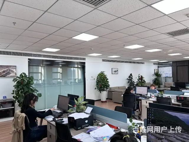 沈阳代办进出口权资质的费用 - 图片 2