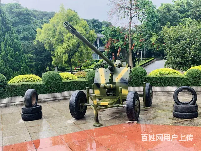 开动版步战车模型厂家 柴油版轮式步战车模型租赁 - 图片 4