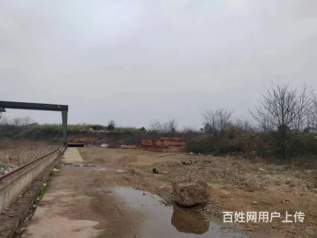 （老板本人）天心区一力物流园区内场地优价出租  6032 - 图片 3