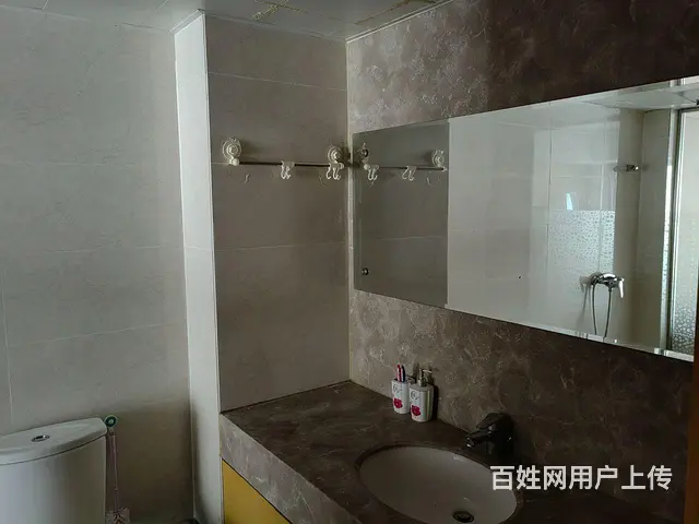 青年大街沿线，地段繁华，精品公寓 - 图片 2