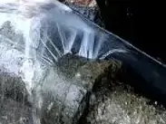 太仓浮桥专业管道测漏免费勘察 - 图片 3