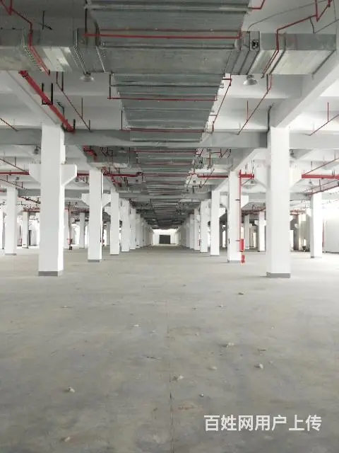 蓬朗一楼厂房出租 - 图片