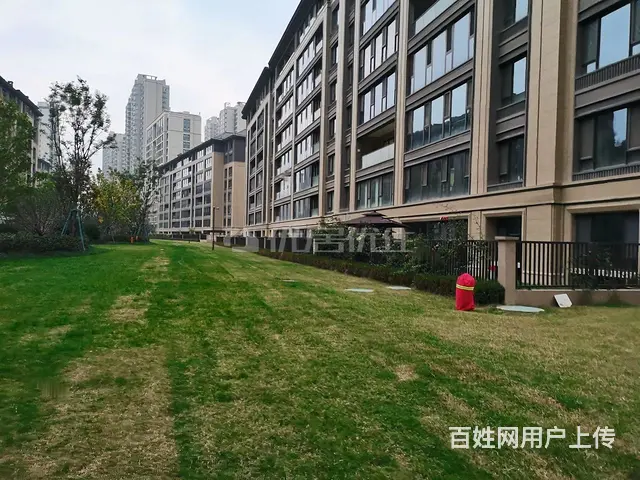 金泰丝路花城 四期 南北通透小三室 中间楼层 - 图片 12