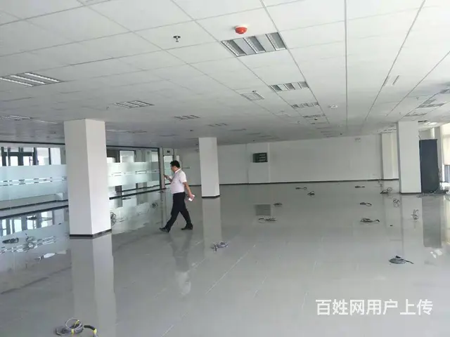 浑南丨国际软件园丨独栋丨平层丨小面积房间丨多种面积丨价格面议 - 图片 3