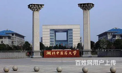 湖北中医药大学继续教育学院成人高考招生简章 - 图片