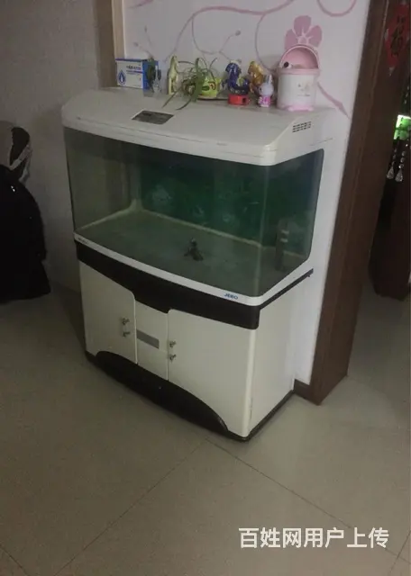 底价出售二手鱼缸 - 图片