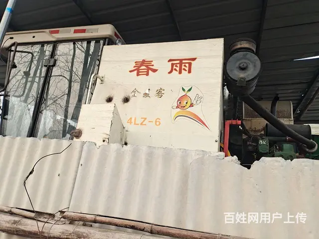 春雨小麦收 - 图片 4