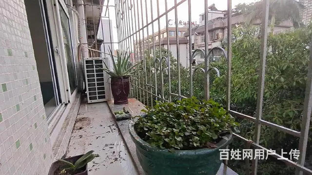 首次出租 吉大新村 精装 3房 采光好 拎包随时入住 - 图片 11
