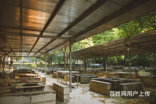 划船野炊烧烤拓展 - 图片 4