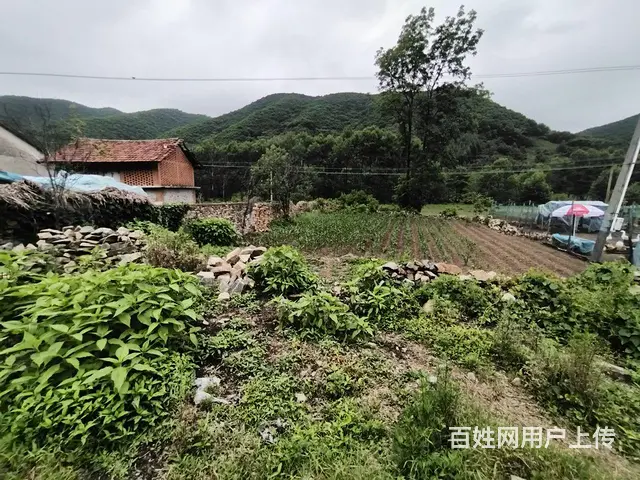 宽甸杨木川民房出售 - 图片 3