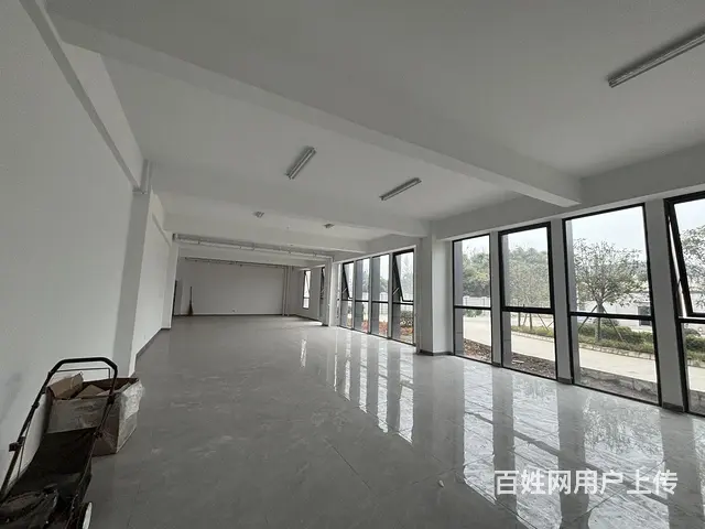 出租蒲江寿安中德产业园10000万平厂房出租 - 图片 7