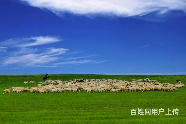 阿尔山旅游路线 - 图片 2