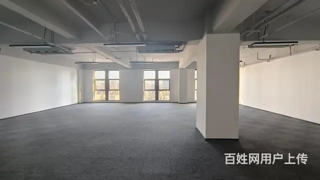 海蓝天行国际，出租80至1600方，精装简装，大小面积都有！ - 图片 10