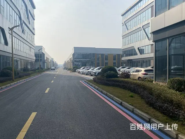 非中介，免3年政策，成新蒲路边（厂房出租出售 - 图片 7