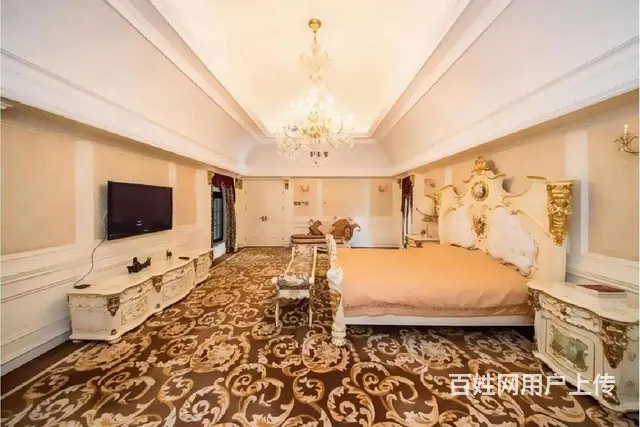 豪装水系独栋，小区中心无大税，超大花园，3门车库。 - 图片 9