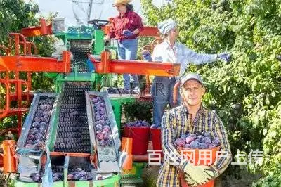 出国劳务新西兰建筑工司机农场工厂普工保底月薪3万 - 图片 2