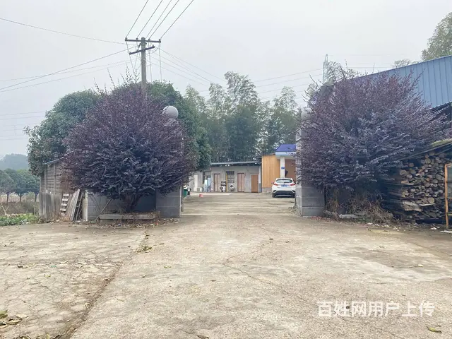 (房东直租)开福区沙坪街道320平厂房，仓库优价出租 - 图片 10