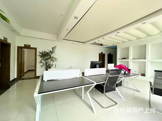 （老板本人）岳麓区雷锋大道旁独栋4楼办公楼出租 6903 - 图片 3