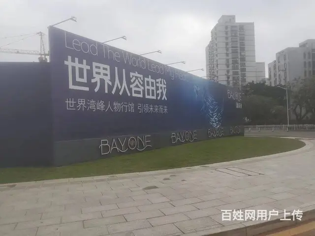 珠海专业楼盘楼体广告制作 - 图片 5