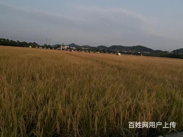 五彩田园景区房房东直租 - 图片 10
