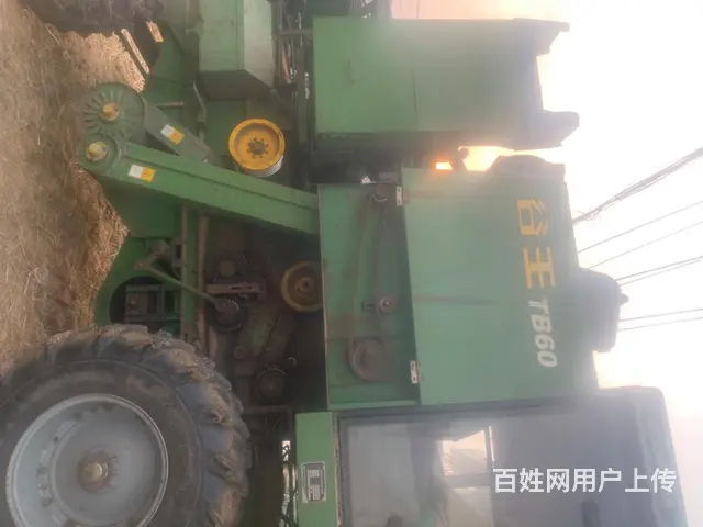 谷王60 - 图片 2