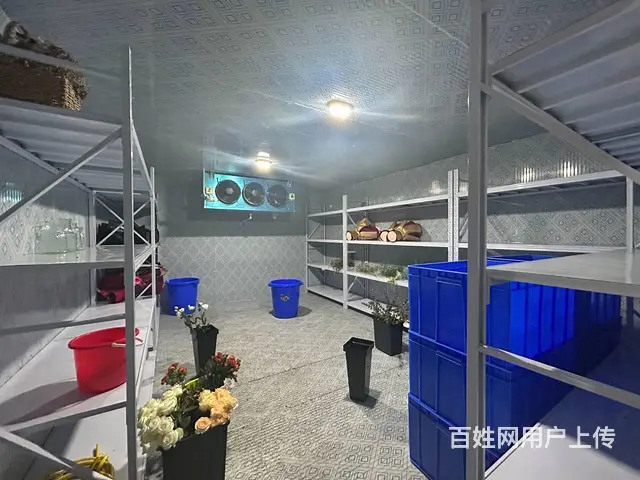 （老板本人）多所学校旁临街花店优价转让（可空转）  5691 - 图片 2