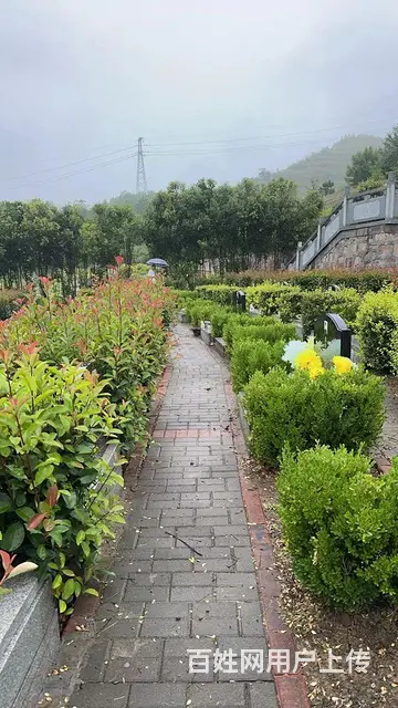 颐福陵园接待处 - 图片 9