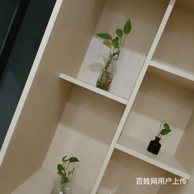 出租两室两厅 - 图片 7