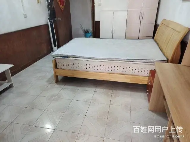 吉大南山公安搂大单身公寓直租 - 图片 4