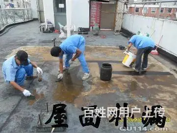 房屋补漏、防水补漏、平顶补漏等防潮及防水工程 - 图片 5