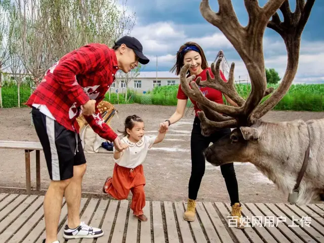 呼伦贝尔海拉尔呼伦贝尔旅游租车多少钱丰田霸道 - 图片 3