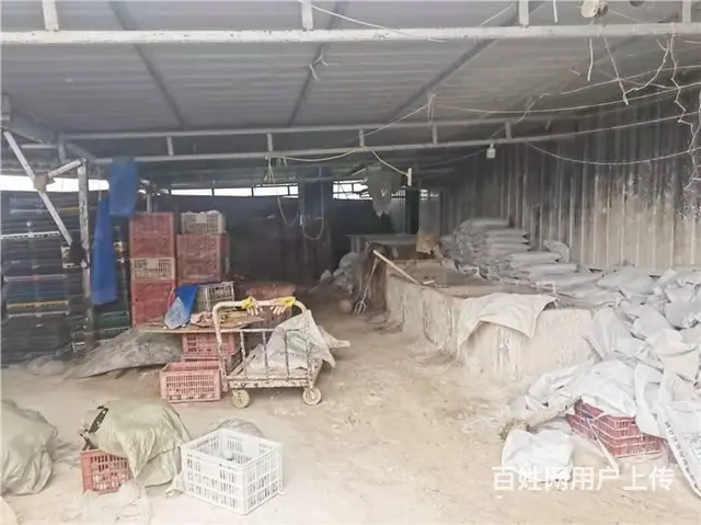 广汉市南丰镇1000㎡厂房+场地（约12亩）、鱼塘（约4亩） - 图片 7