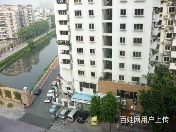经典3房，户型方正，视野开阔，采光充足。 - 图片 11