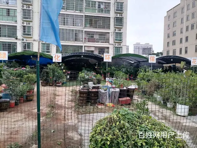 （51旺铺推荐）振发路白驹学校南门50平两间场地出租 - 图片 2