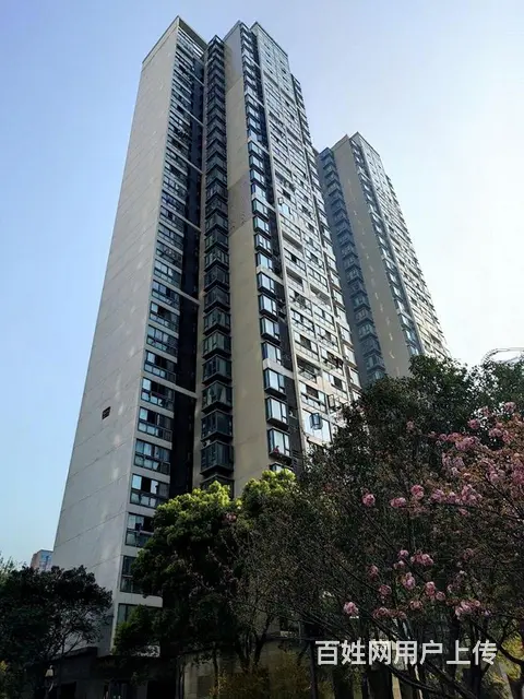 中北路汉街东亭地铁4号线 水岸星城精装看湖两室 桃 - 图片 11
