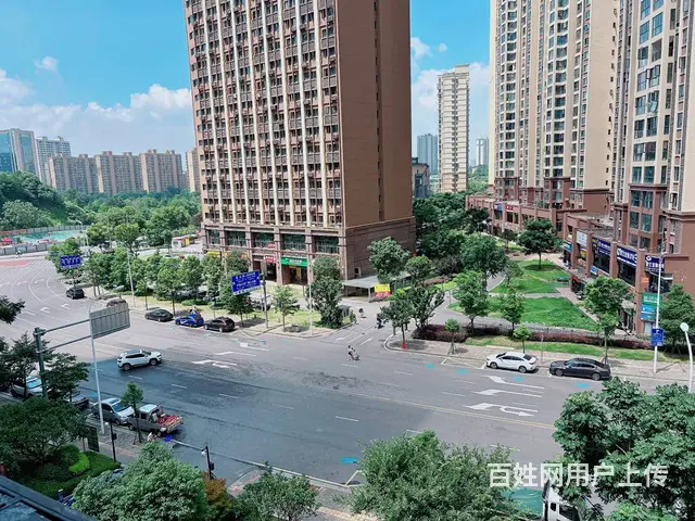（老板本人）临街宠物店优价转让  5629 - 图片 8