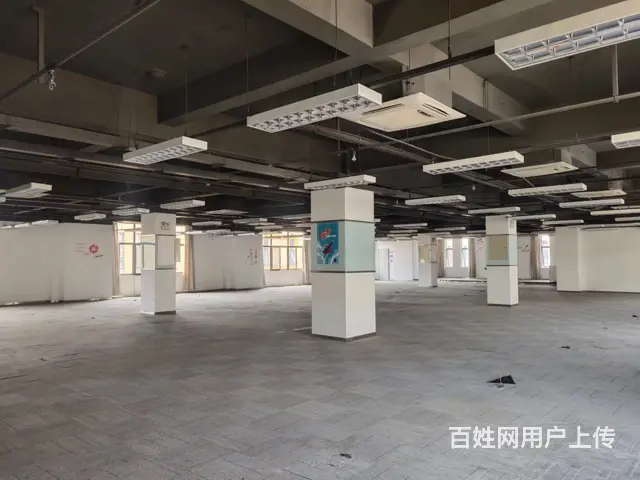 宿州城东青年电子产业园仓库出租，政府园区，免租期长 - 图片 6