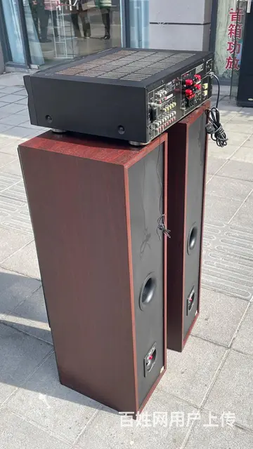 丹麦原装进口至尊发烧音箱，双6.5寸低音音质非常好 - 图片 6