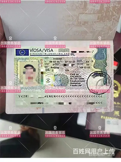 石家庄高薪急招挪威包装工月薪上万 - 图片 1